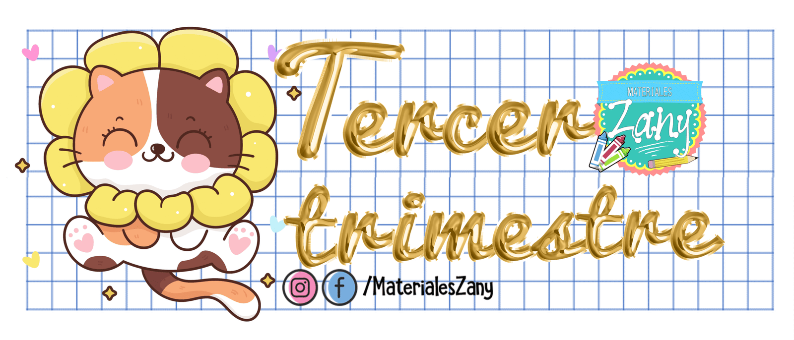 Tercer Trimestre NEM ciclo 24 - 25 PRIMARIA